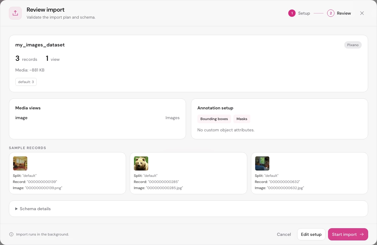Review import showing 3 records, the image view, bounding box and mask tools, and sample records.